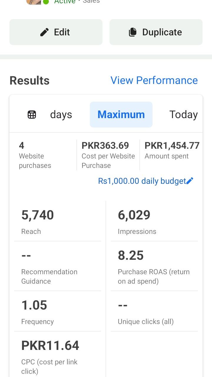 Facebook Ads Manager results showing 8.25 ROAS, 5,740 reach, and 6,029 impressions
